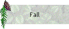 Fall