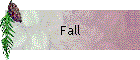 Fall